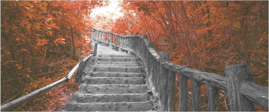 Tablou - Scări în natură, portocaliu (120x50 cm)