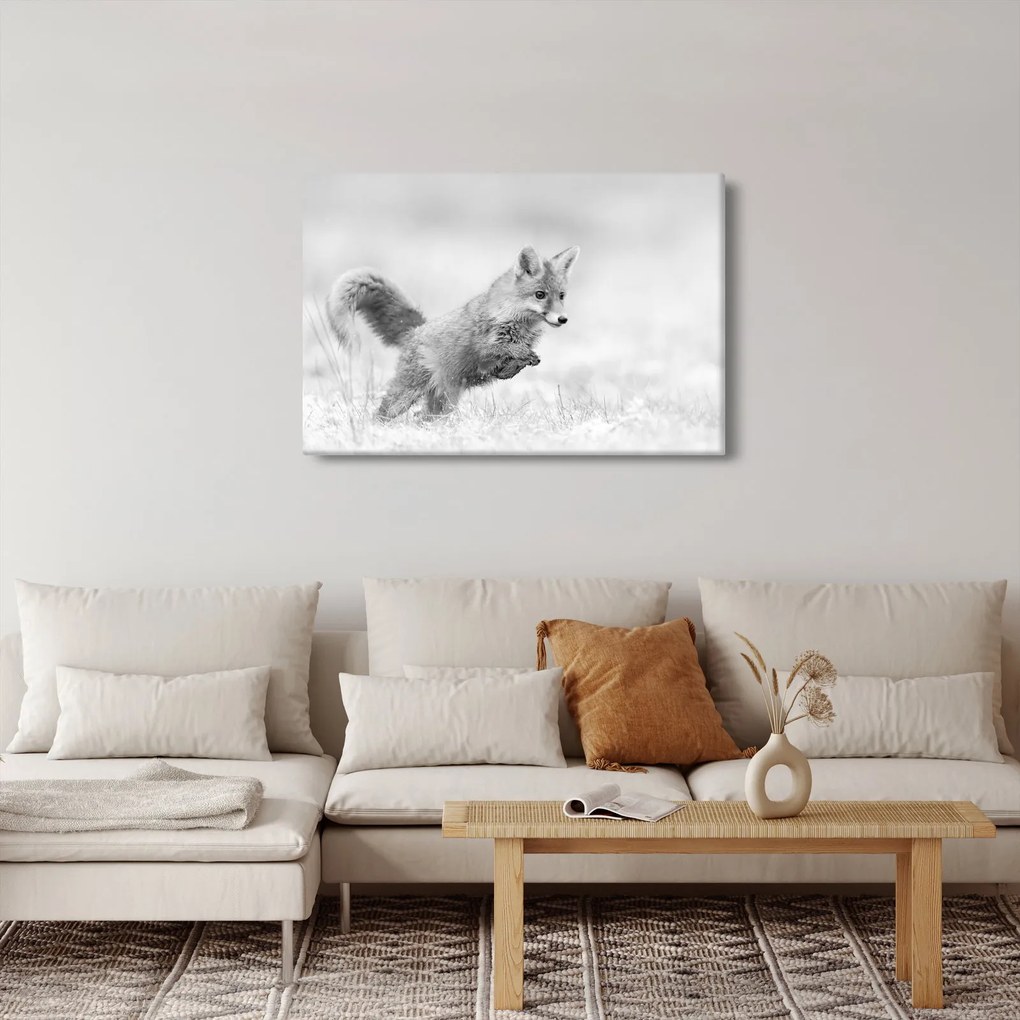 Tablou - Vulpe care sare,alb-negru (90x60 cm)