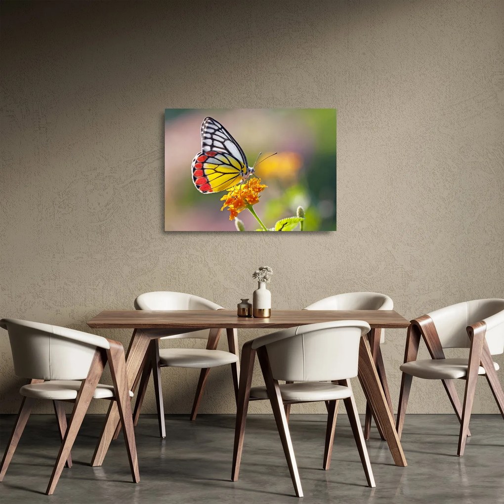 Tablou pe sticlă - Fluture pe floare (70x50 cm)