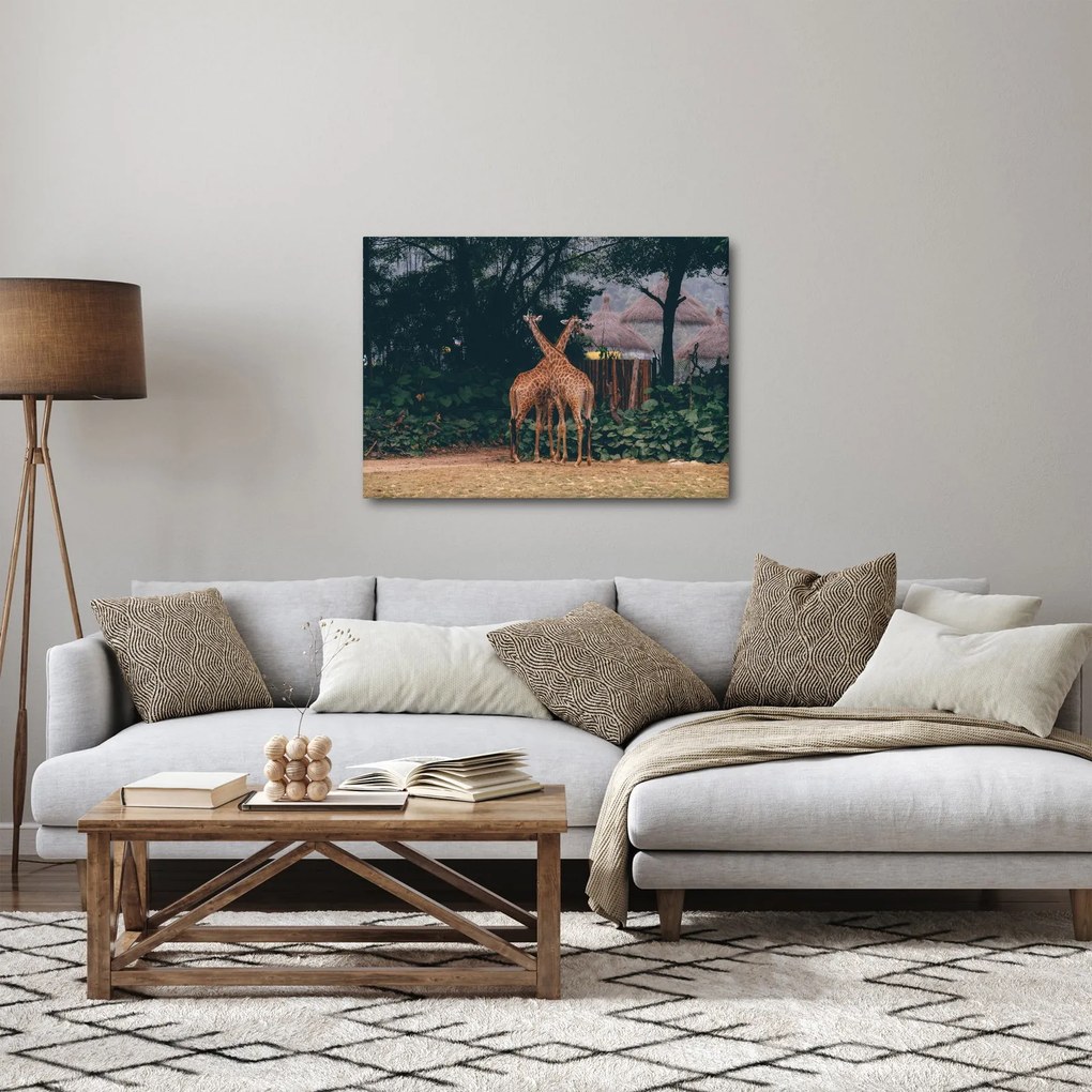 Tablou cu două girafe (70x50 cm)
