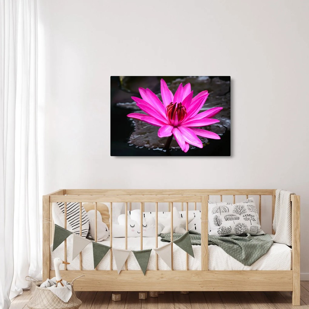 Tablou - floarea roz (90x60 cm)
