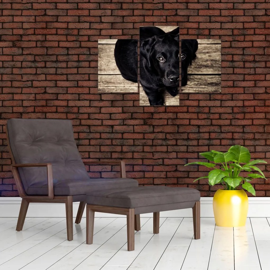 Tablou cu cățeluș negru (90x60 cm)