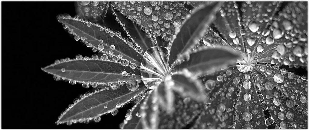 Tablou - Picături (120x50 cm)