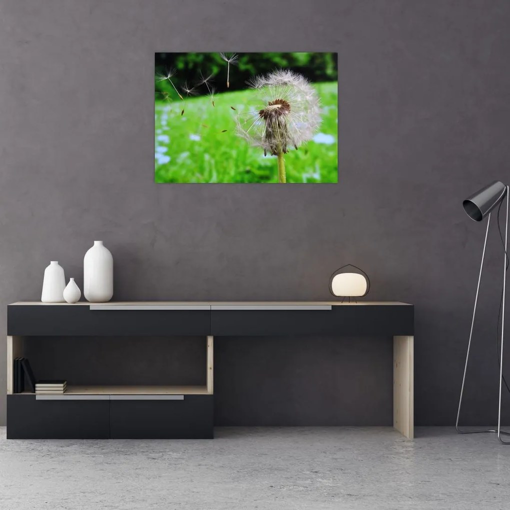 Tablou pe sticlă cu păpădie (70x50 cm)