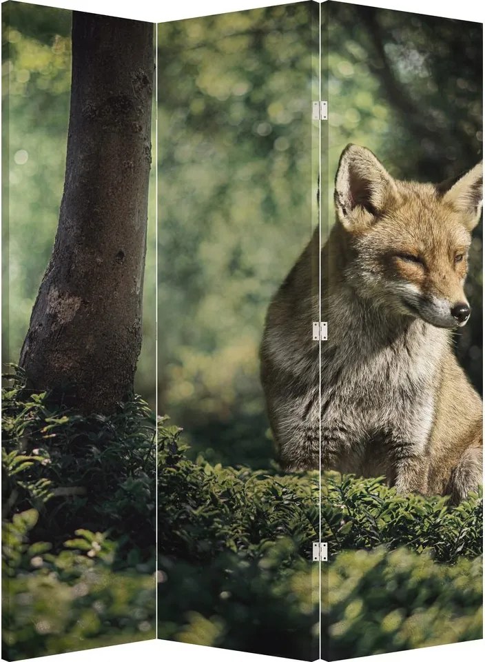 Paravan - Vulpe (126x170 cm)