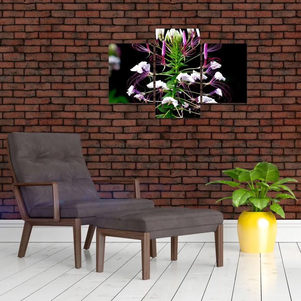 Tablou cu floare (90x60 cm)