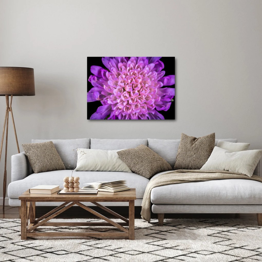 Tablou detailat cu floare (70x50 cm)