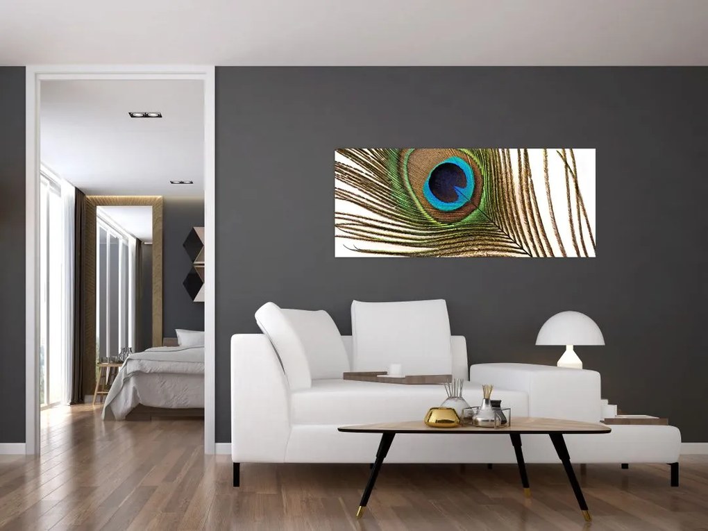 Tablou cu pene de păun (120x50 cm)
