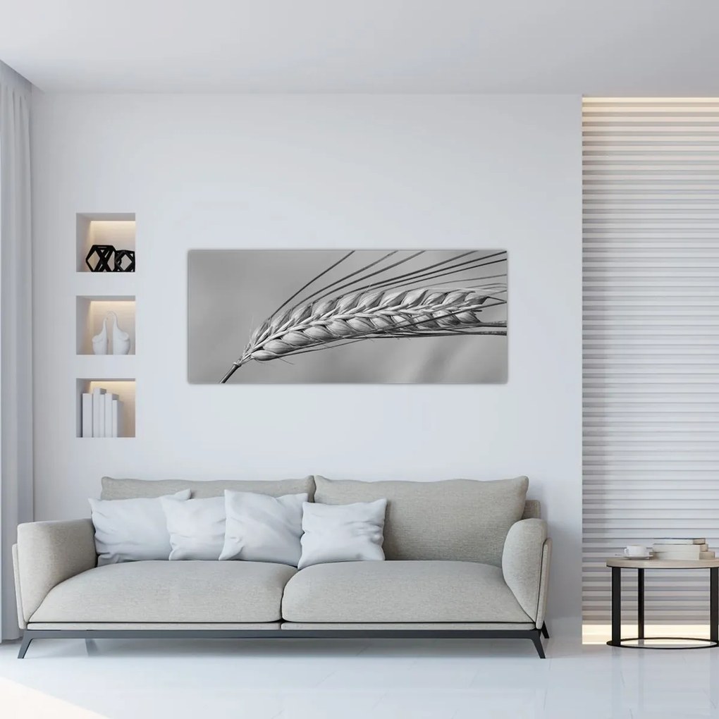 Tablou - Grâu,alb-negru (120x50 cm)