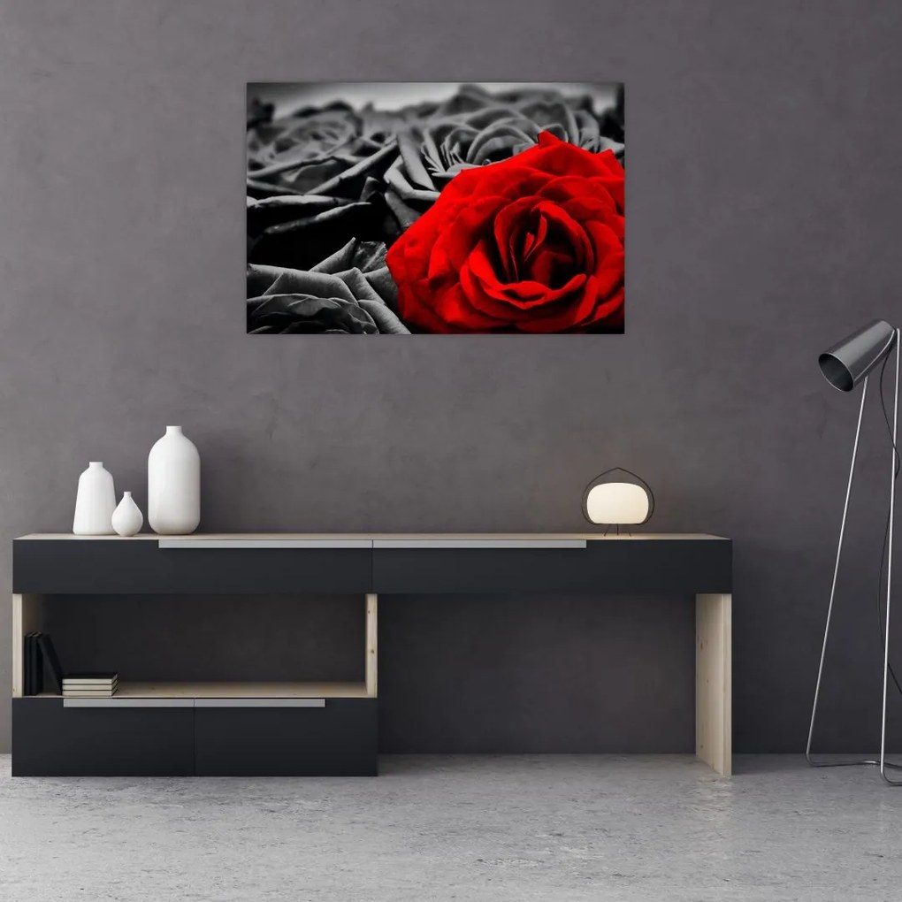 Tablou - Flori de trandafir (90x60 cm)