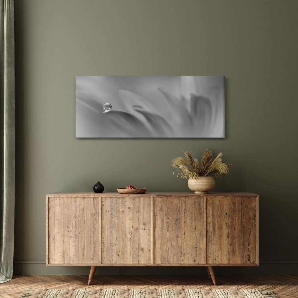 Tablou - Picătură pe floare,alb-negru (120x50 cm)