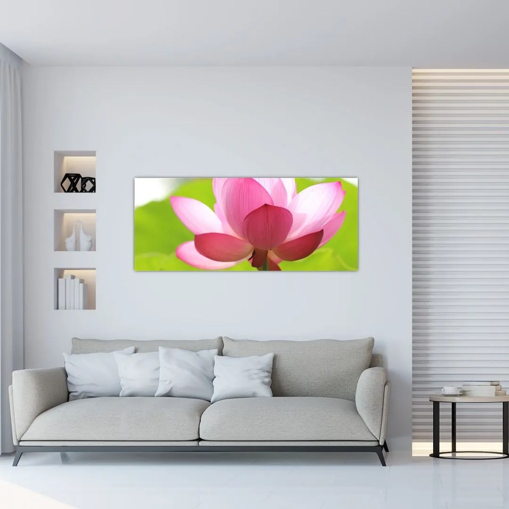 Tablou cu flori de lotus (120x50 cm), în 40 de alte dimensiuni noi