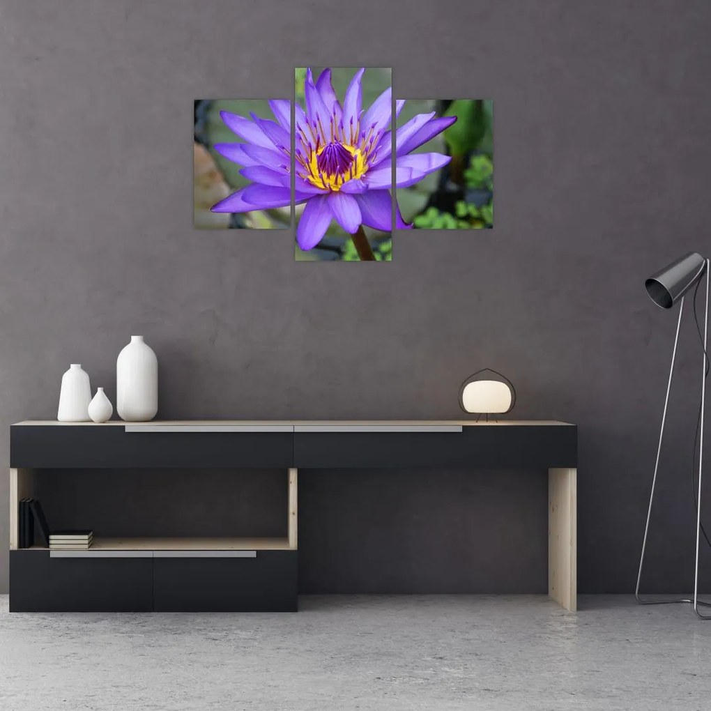 Tablou - Floare violet (90x60 cm)