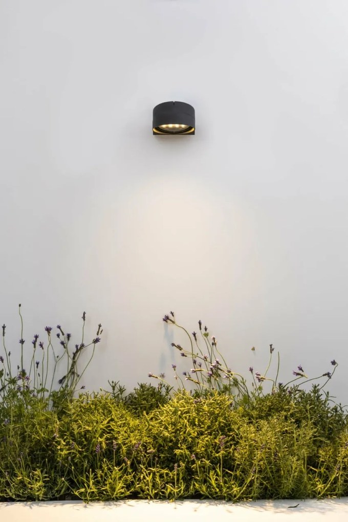 Proiector LED de exterior IP65 MUUR 250