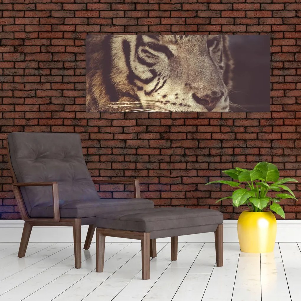 Tablou cu tigrul (120x50 cm)