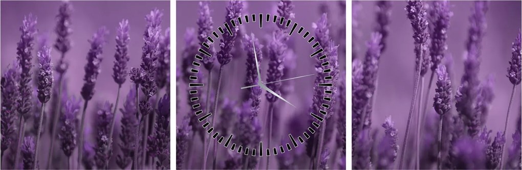 Tablou - Lavanda (cu ceas) (90x30 cm)