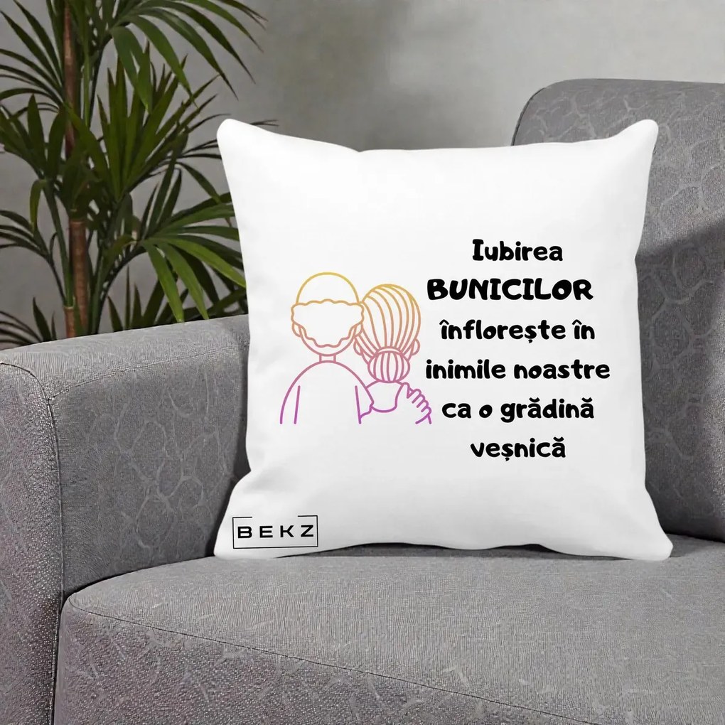 Cadou pentru Bunici - Perna Personalizata Iubirea Bunicilor Infloreste Cuplu Line Art Gradient, 40x40 cm, Alba Mata, Husa Detasabila, Perna Inclusa, BEKZ®