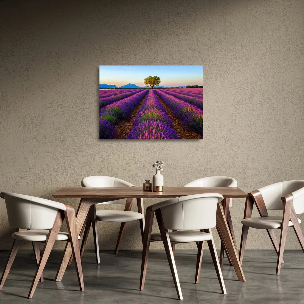 Tablou pe sticlă - Câmp de lavandă (70x50 cm)