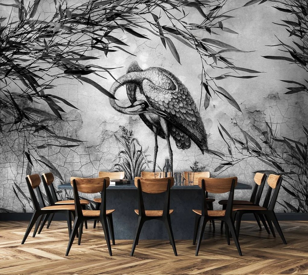 Fototapet - Macaraua alb -neagră (152,5x104 cm)