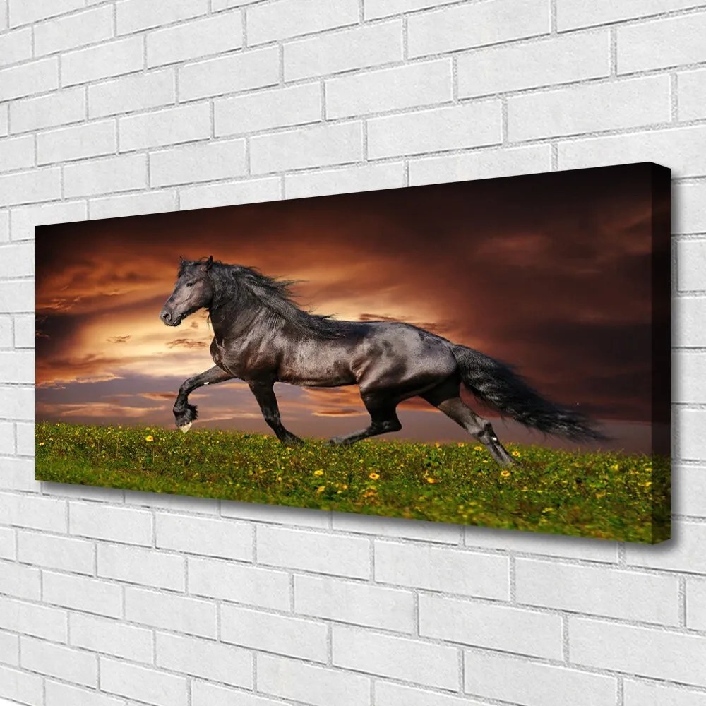 Tablou pe panza canvas Black Horse Meadow Animale Negru Verde Roșu