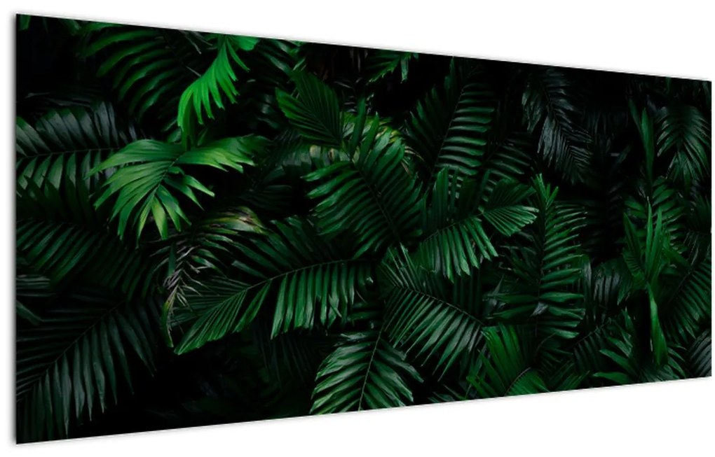 Tablou - Păpădii tropicale (120x50 cm)