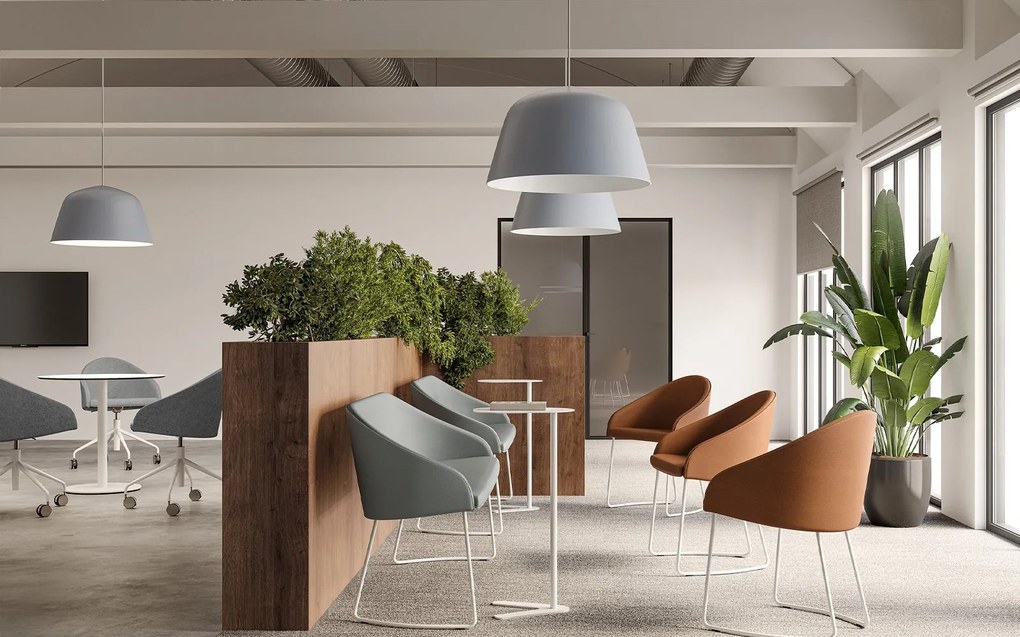 Fotoliu lemn masiv Kameo – Design ergonomic