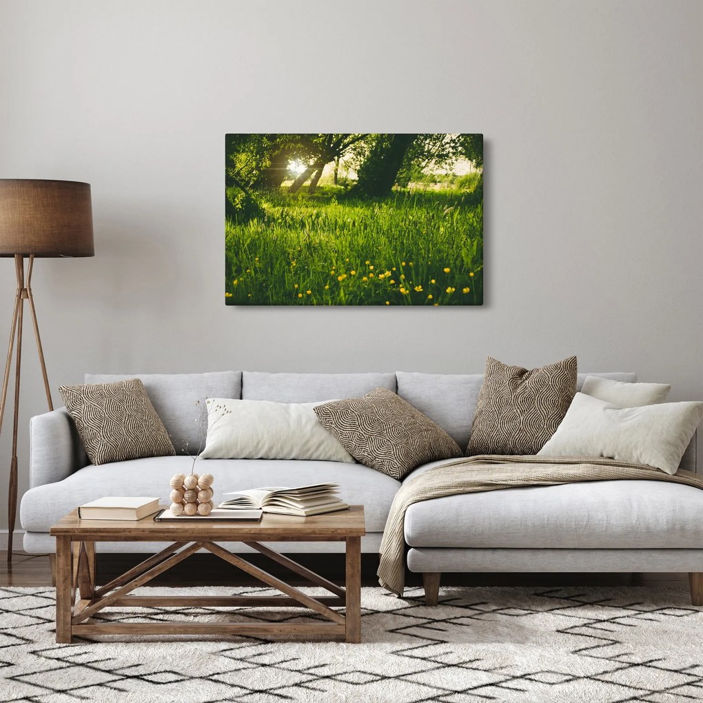 Tablou cu natura - lunca (90x60 cm)