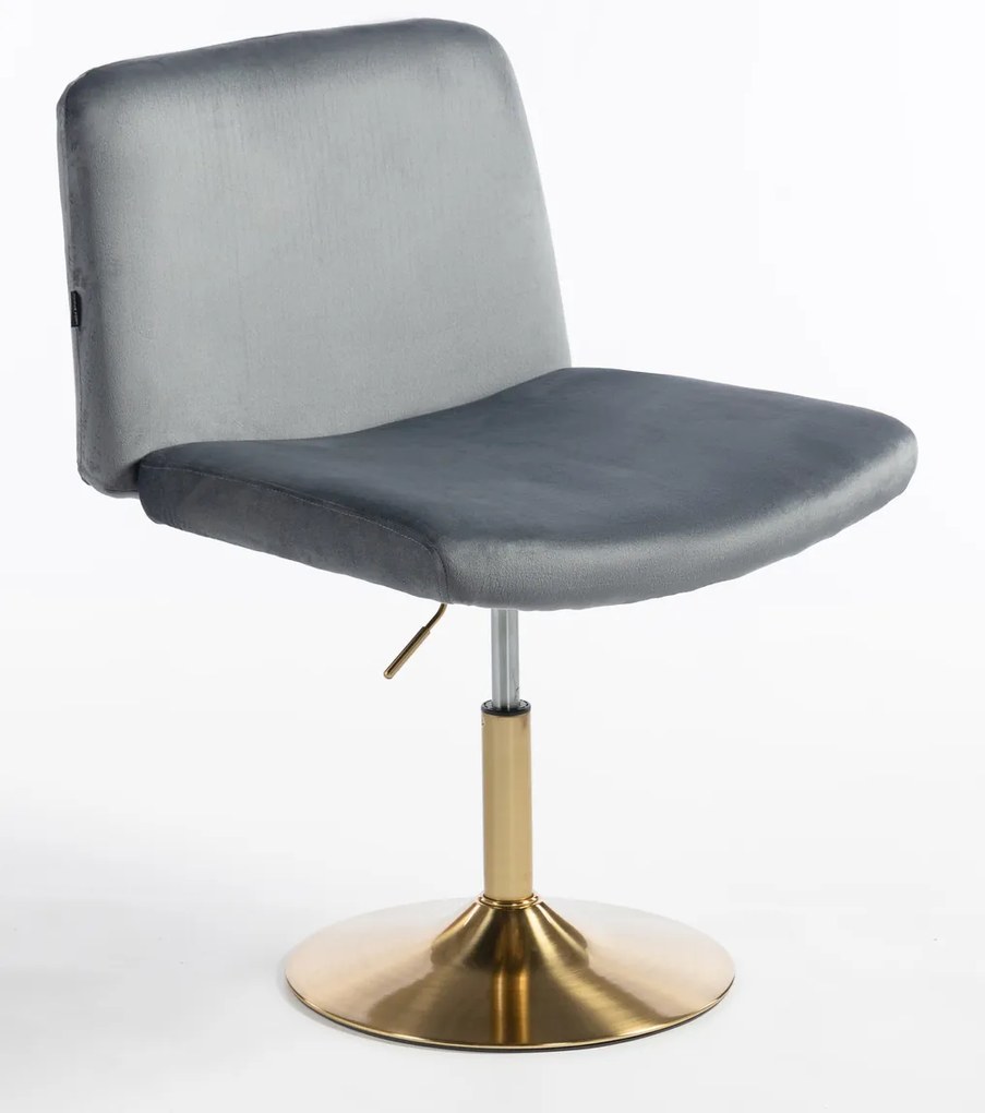 HR150N Scaun Grafit din Catifea cu Bază Aurie