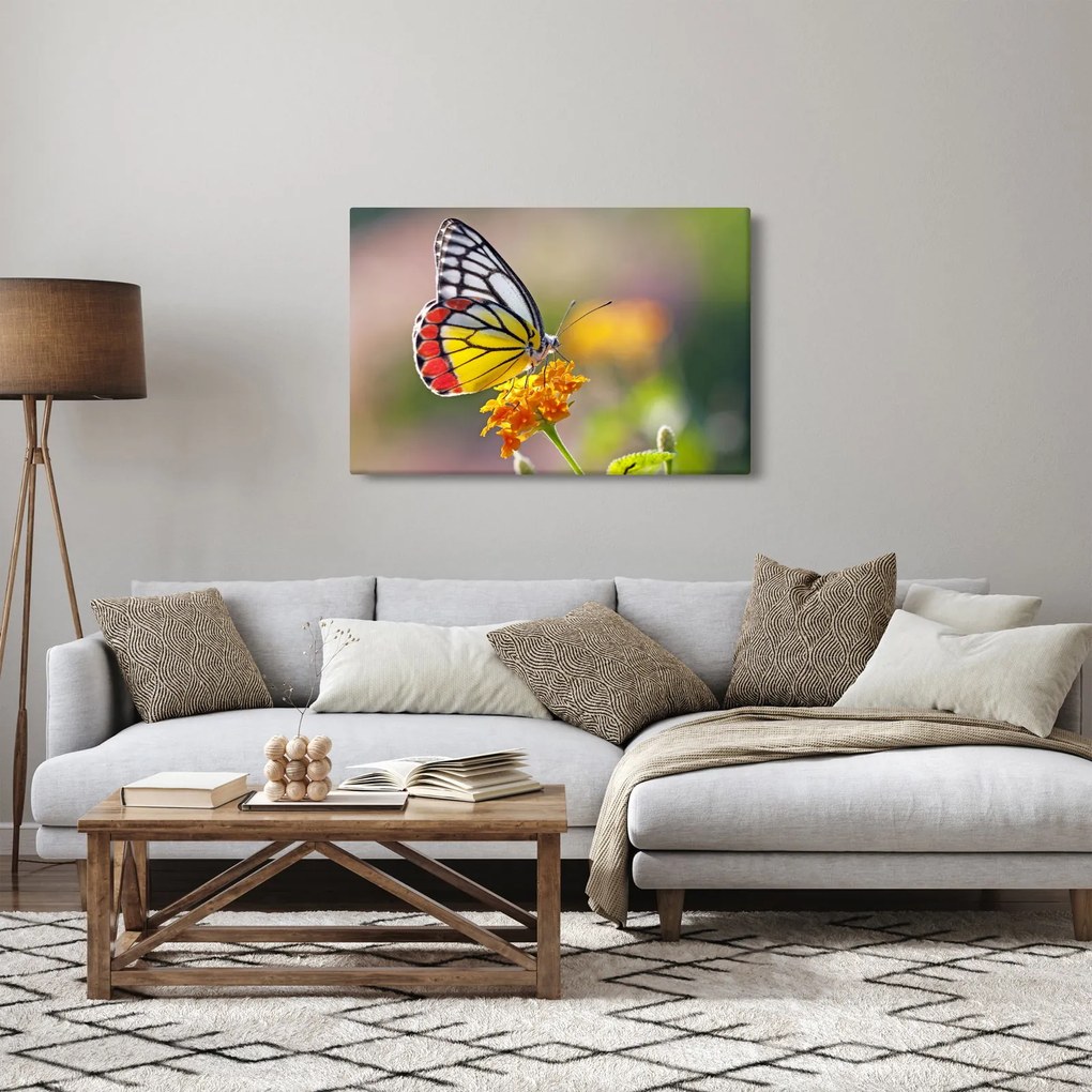 Tablou - Fluture pe floare (90x60 cm)