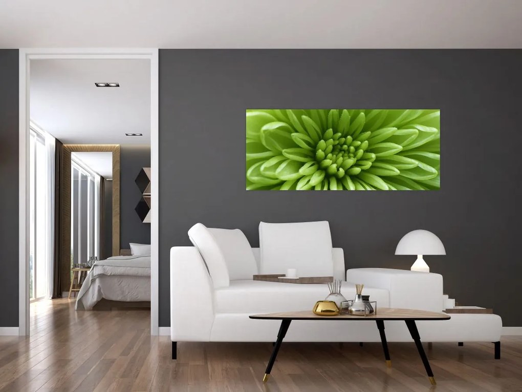 Tablou - Imagine macro a unei plante (120x50 cm)