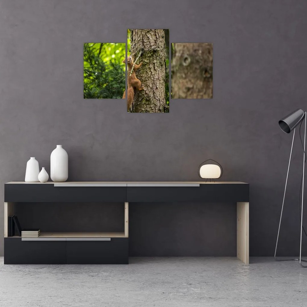 Tablou - Veverița (90x60 cm)