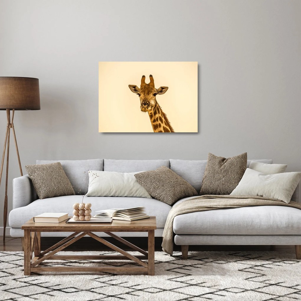 Tablou pe sticlă cu girafe (70x50 cm)