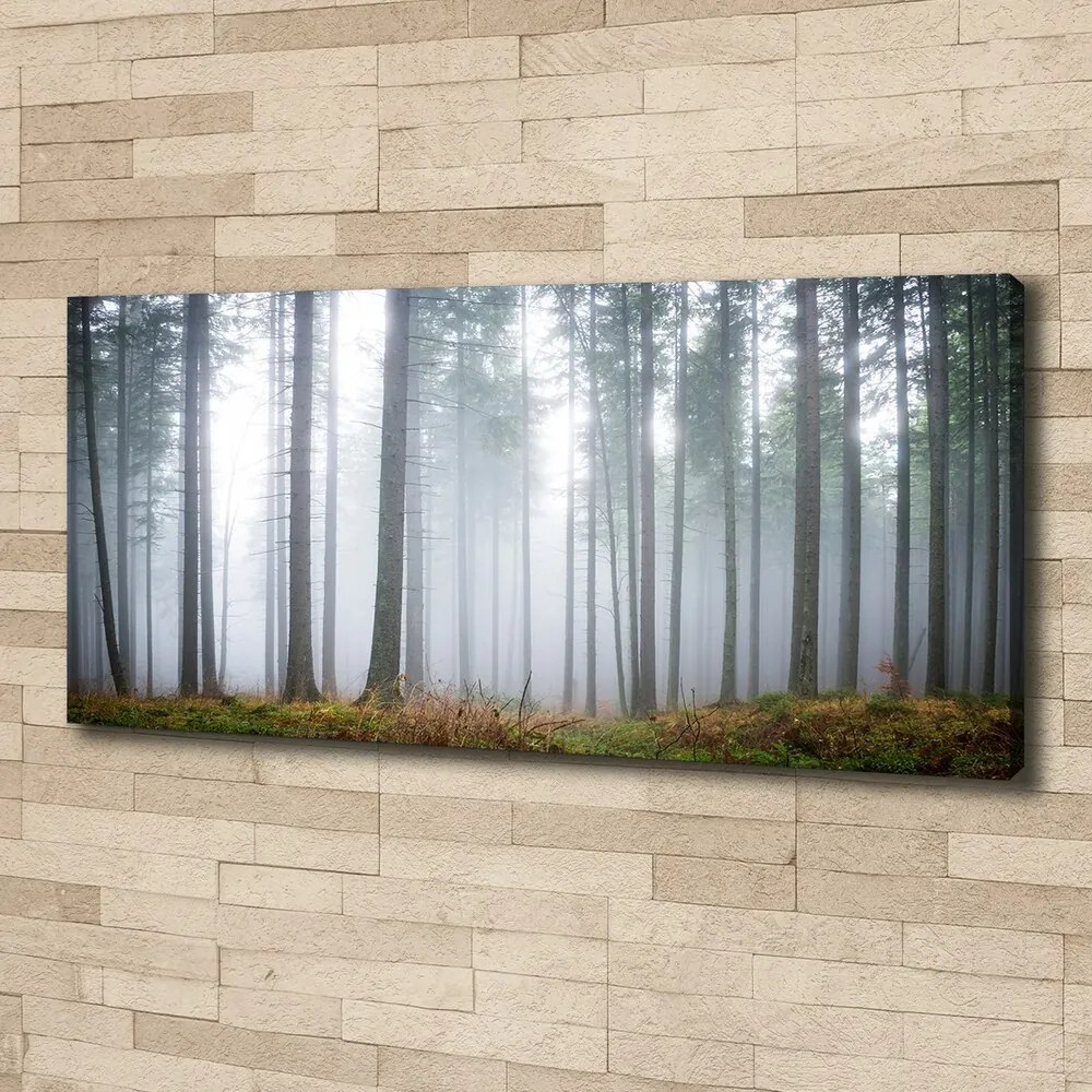 Print pe canvas Ceață în pădure