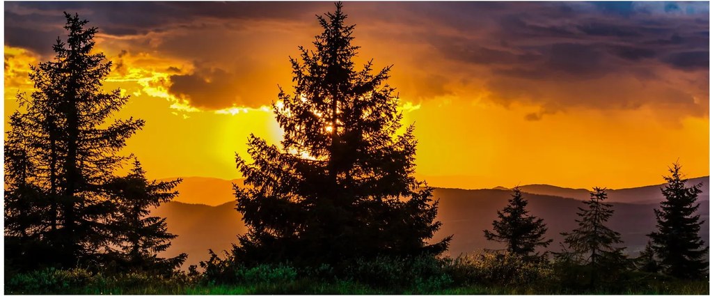 Tablou - coniferi (120x50 cm)