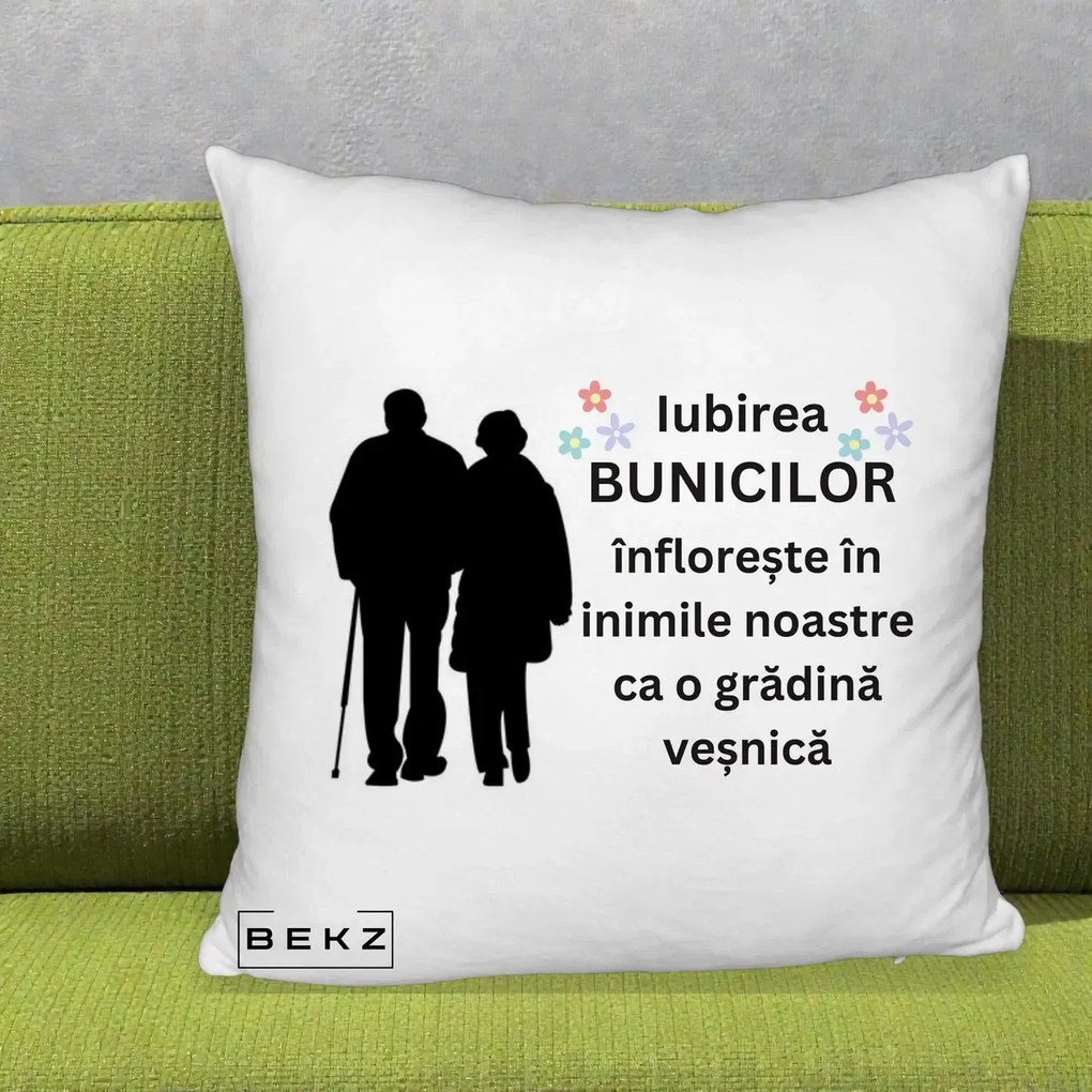 Cadou pentru Bunici - Perna Personalizata Bunicii Iubirea Infloreste Silueta Neagra Flori, 40x40 cm, Alb Pufos, Husa Detasabila, Perna Inclusa, BEKZ®