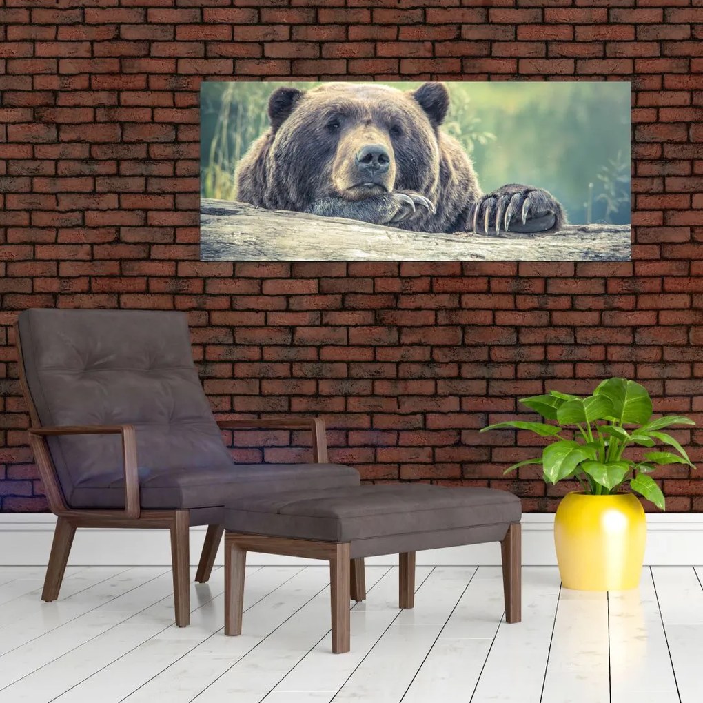 Tablou cu urs (120x50 cm)