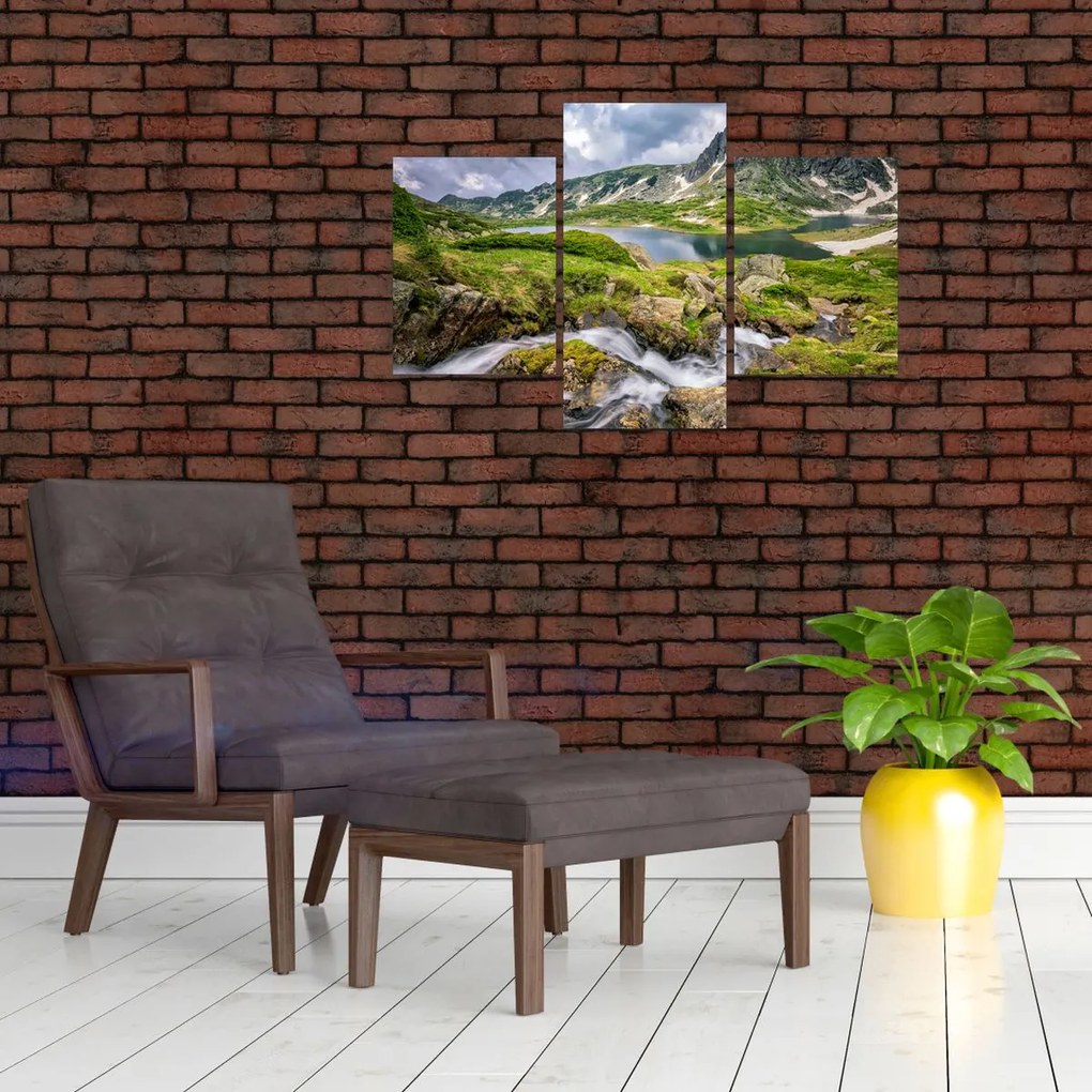 Tablou - Vedere la Muntele Rila (90x60 cm)