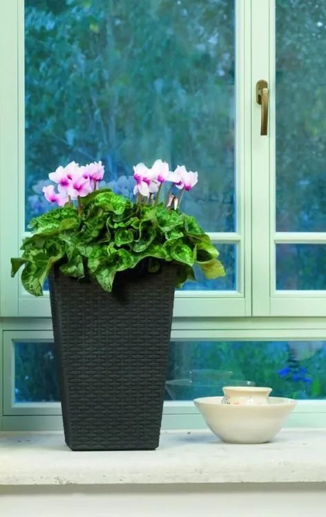 Ghiveci de flolri Rattan, mărimea S