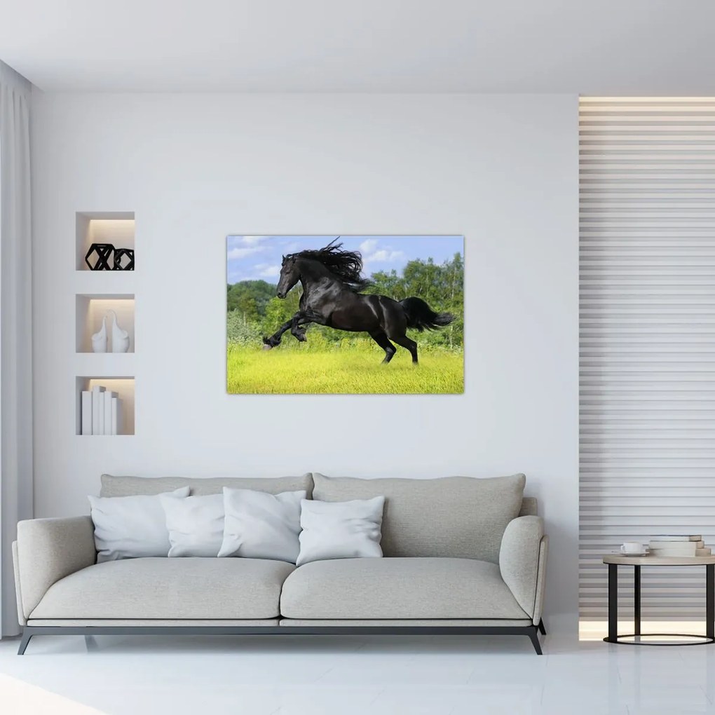 Tablou - Cal cu o coamă curgătoare (90x60 cm)