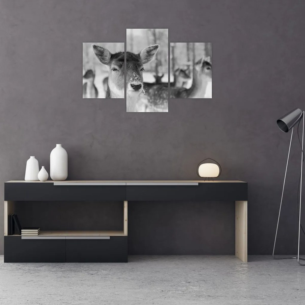 Tablou - Cerbi,alb-negru (90x60 cm)