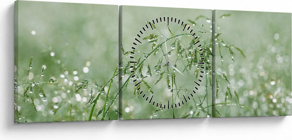 Tablou - Trandafir în iarbâ (cu ceas) (90x30 cm)