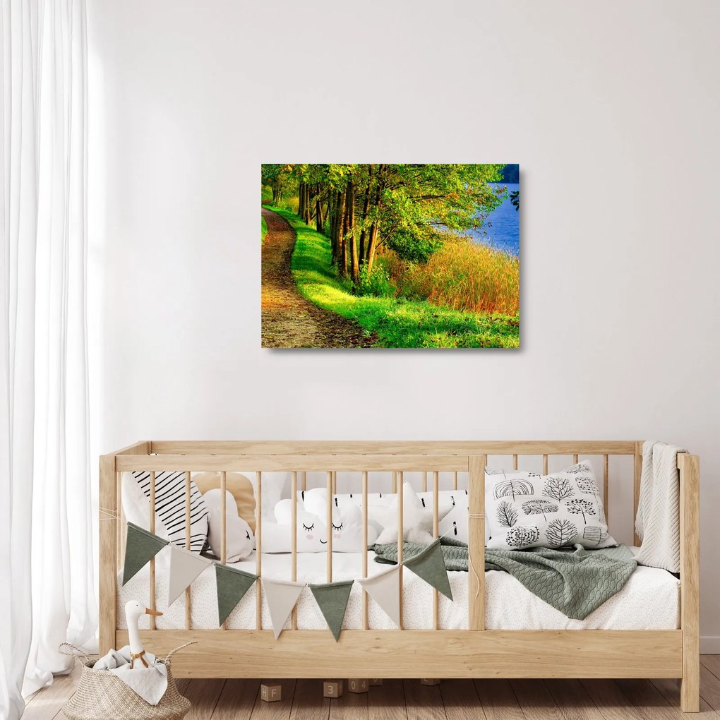 Tablou pe sticlă - poteci pe malul apei (70x50 cm)