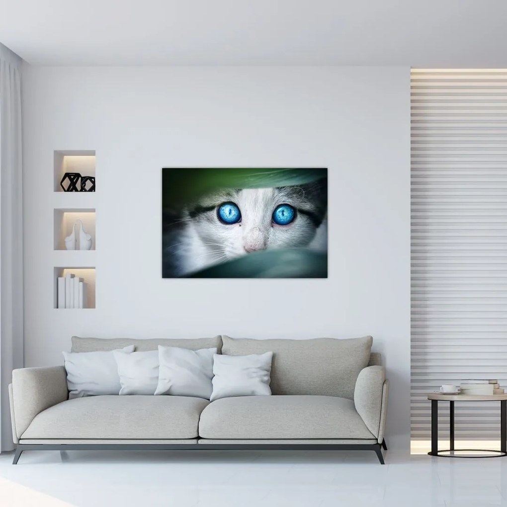 Tablou cu pisica (90x60 cm)