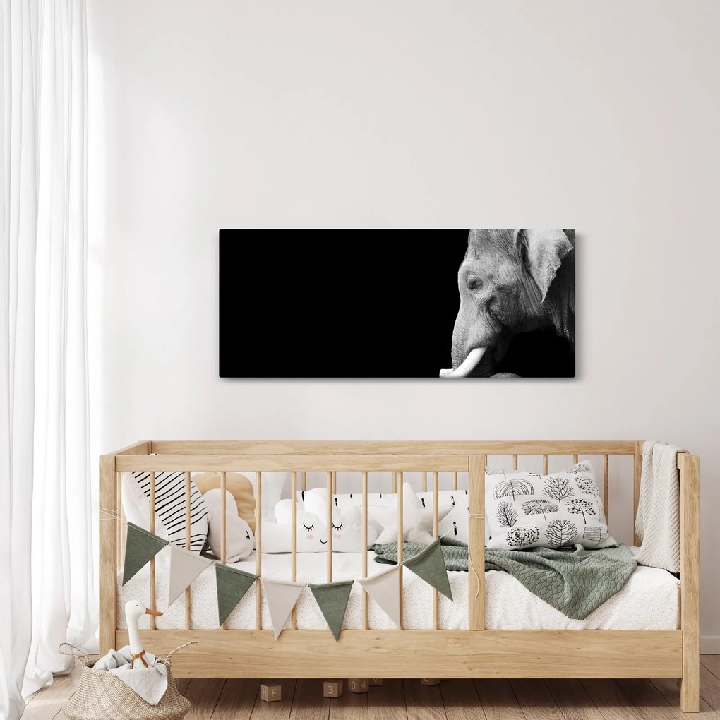 Tablou - Elefant (120x50 cm)