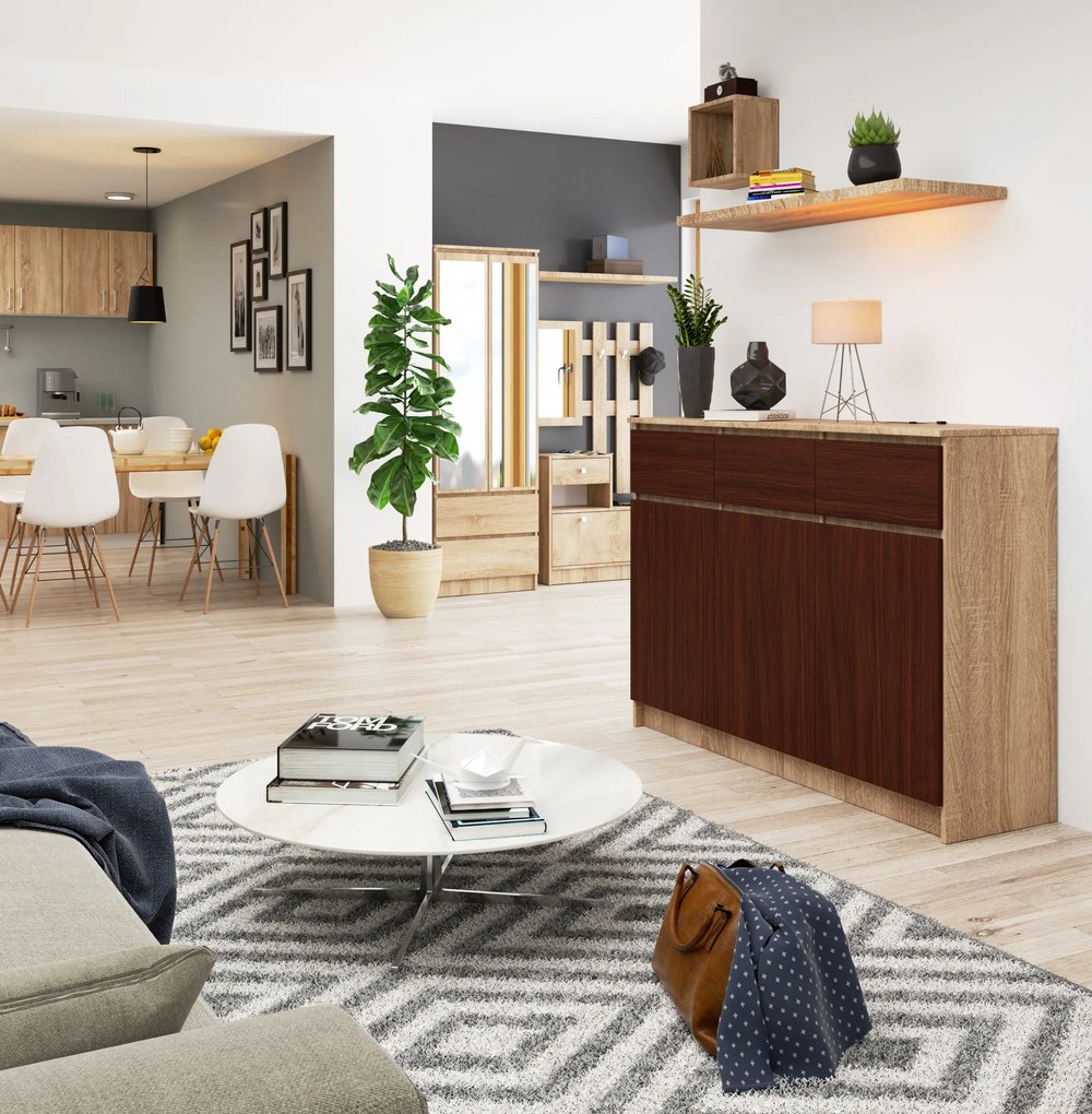 Comodă Kuwait 3D 3D (stejar sonoma + wenge). 1117163