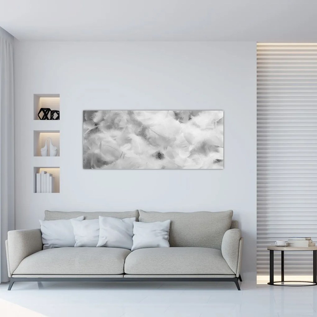Tablou - Nori de pene (120x50 cm)