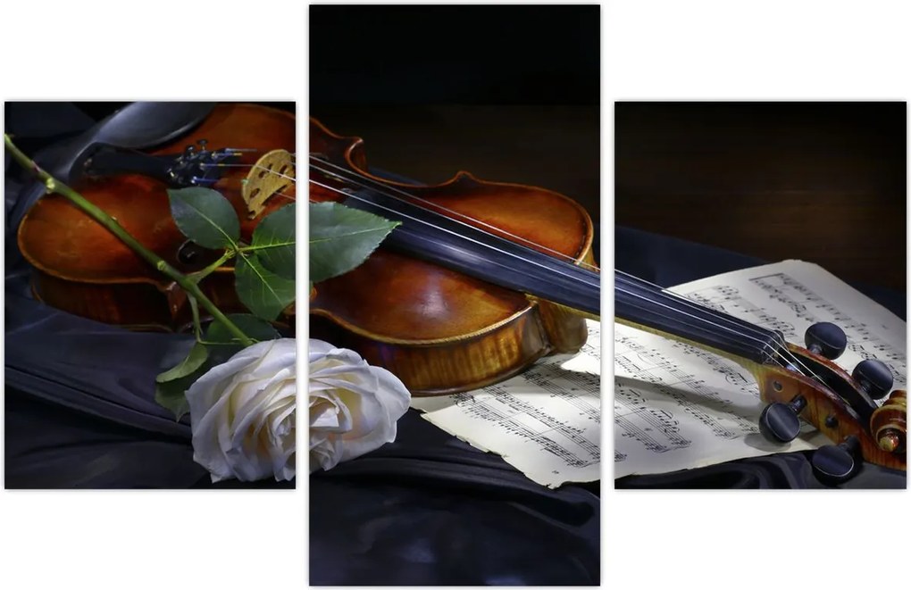 Tablou - Trandafiri și vioară (90x60 cm)