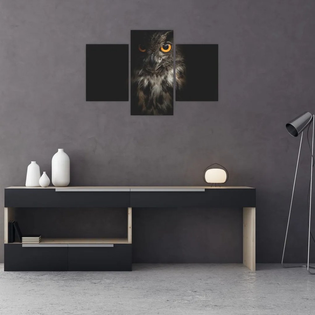 Tablou cu bufnița (90x60 cm)