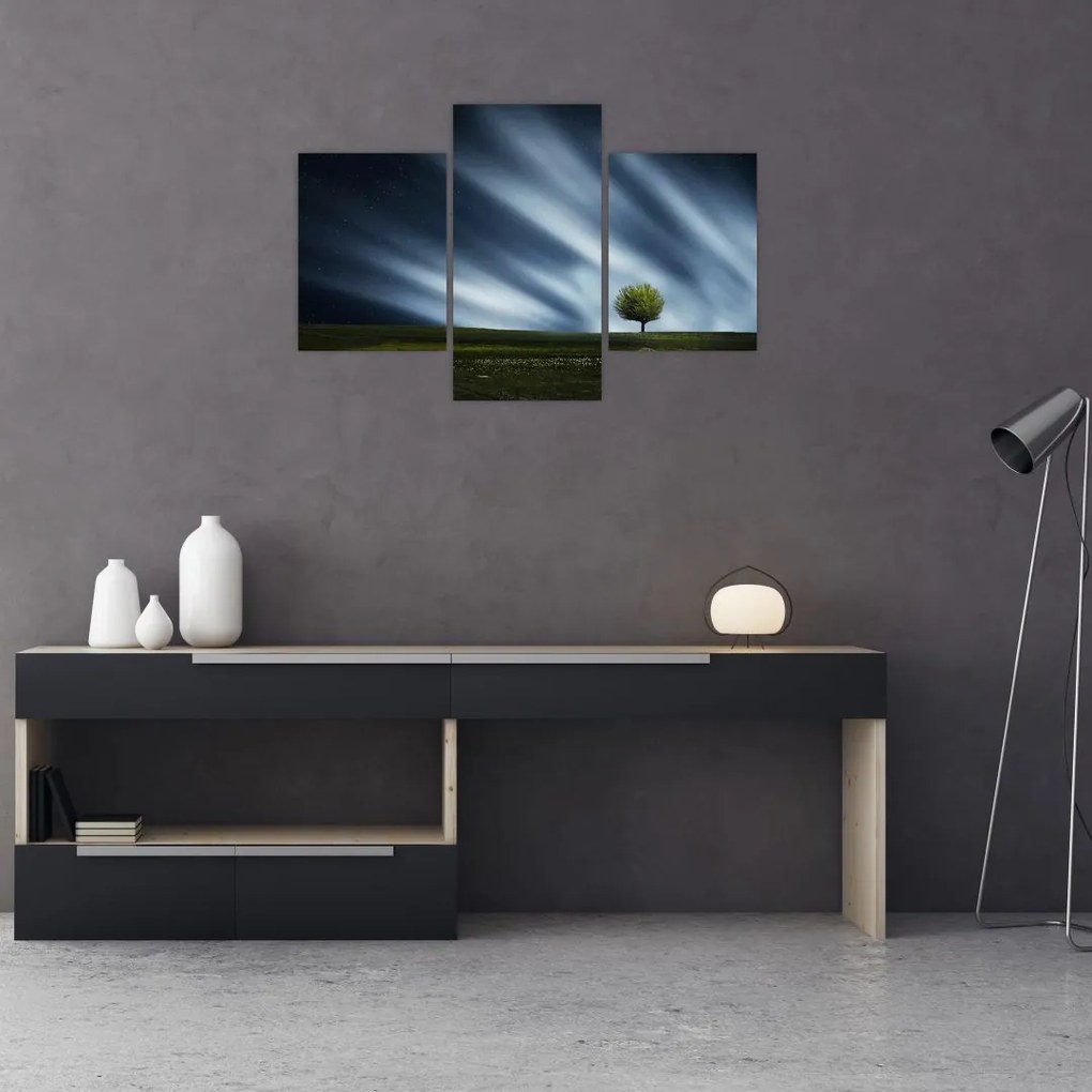 Tablou -Aurora boreală (90x60 cm)