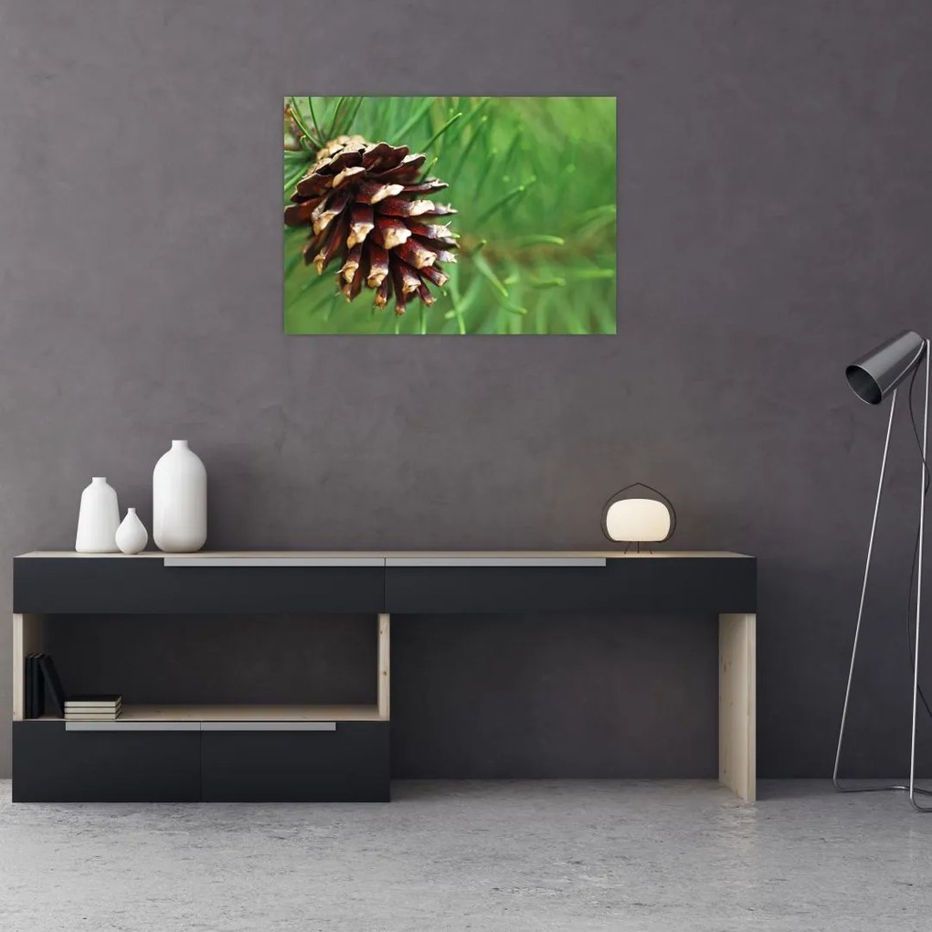 Tablou cu con (70x50 cm)